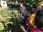 students at Bonito garden